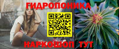 Альфа ПВП Татарск