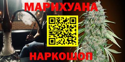 прущие крисы Тара