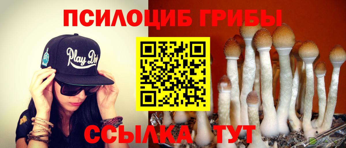 Галлюциногенные грибы мухоморы Новочеркасск